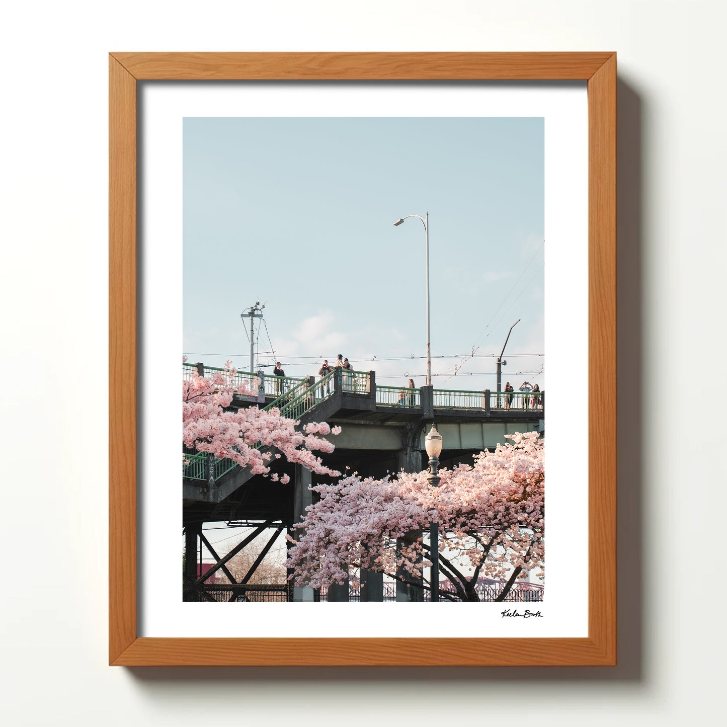 Bridge Blossoms