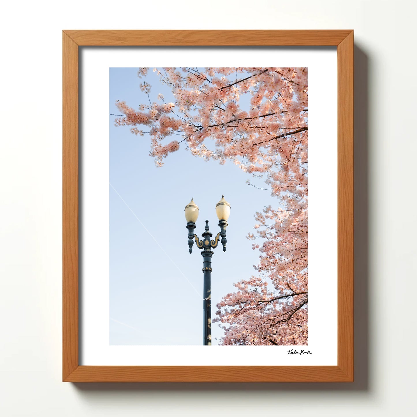 Light Post Blossoms