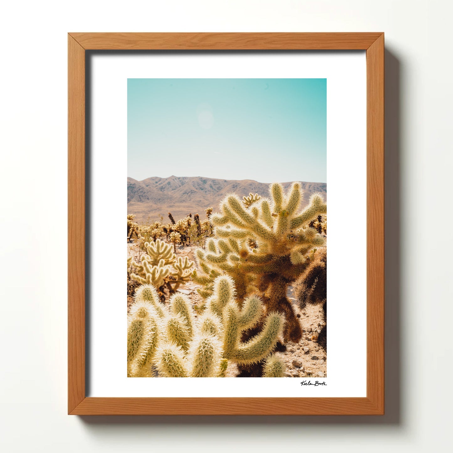 Joshua Tree Cactus Garden [ 2 ]