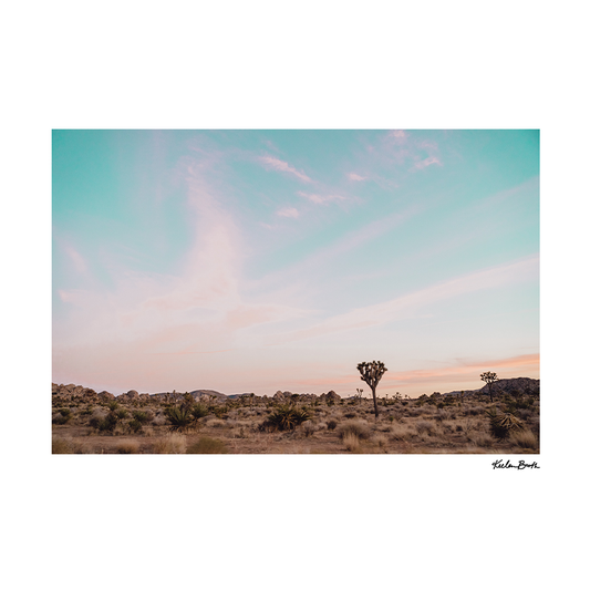 Joshua Tree Sunset [ 2 ]